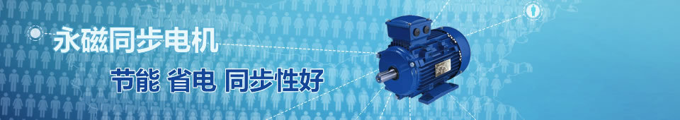 永磁電機