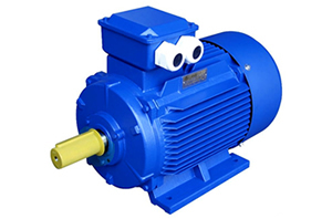 交流永磁同步電動機(jī)